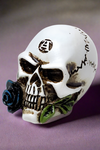 Alchemy Alchemist Skull Miniature | Angel Clothing