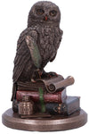 An Owls Tale Bronze Figurine | Angel Clothing