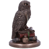 An Owls Tale Bronze Figurine | Angel Clothing