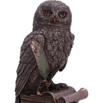 An Owls Tale Bronze Figurine | Angel Clothing