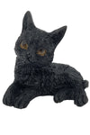 The Witches Litter - Cat 1 | Angel Clothing