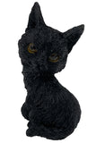 The Witches Litter - Cat 4 | Angel Clothing