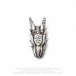 Alchemy Dragon Skull Miniture | Angel Clothing