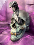 Serpentine Fate Skull | Angel Clothing
