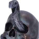 Serpentine Fate Skull | Angel Clothing